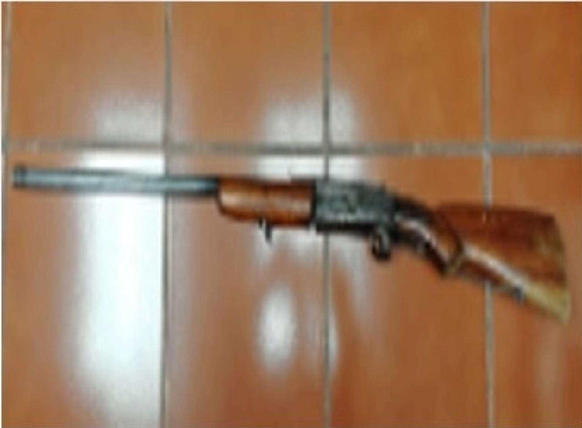 Amenazó a su hija con una escopeta