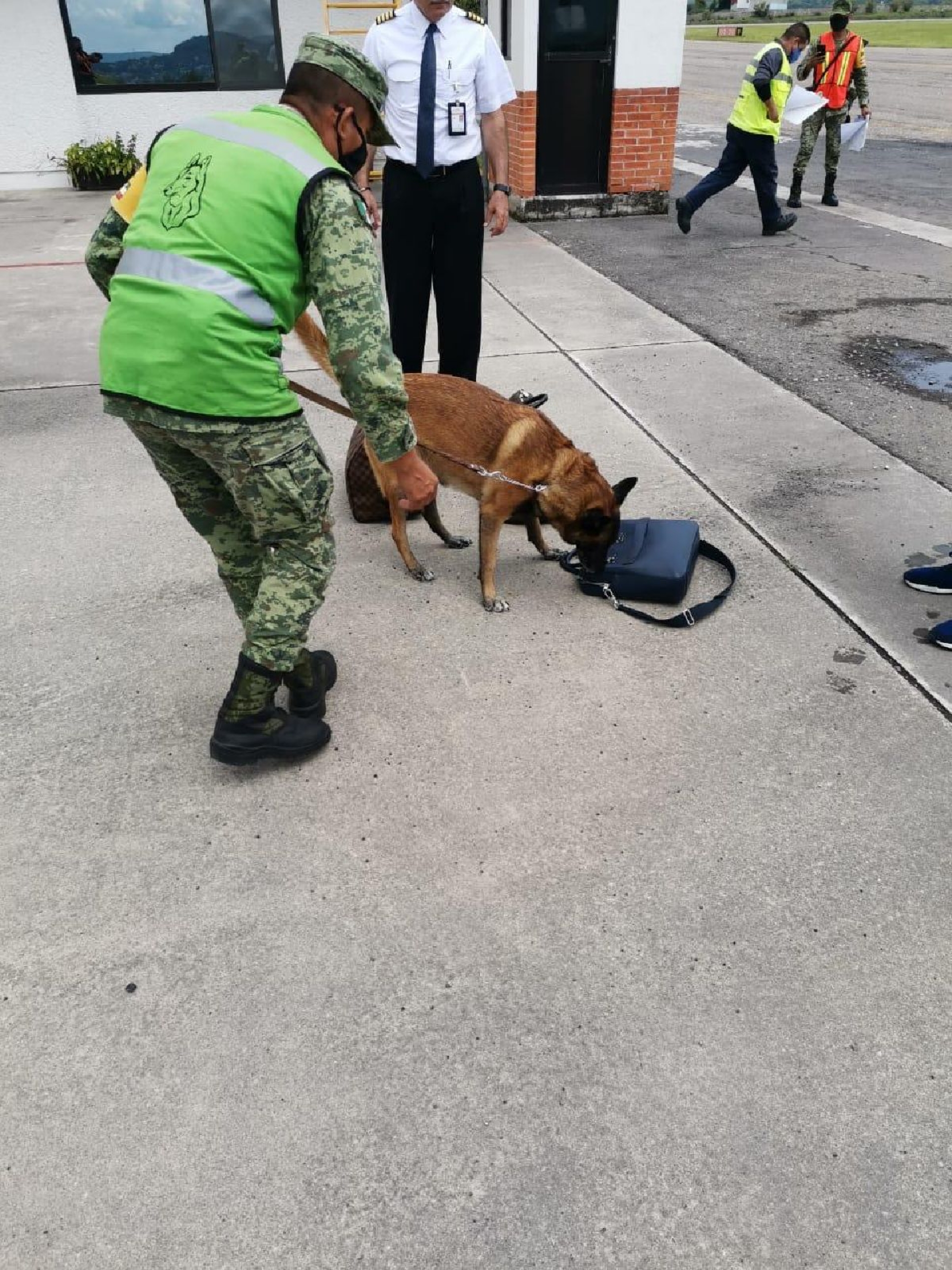 Buscan a dueño de avión abandonado en aeropuerto de Cuernavaca