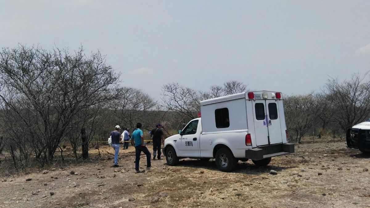 Avioneta que cayó en Cuauchichinola realizaría servicio de fumigación aérea