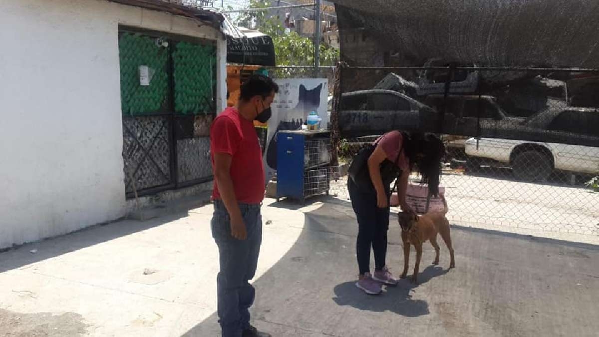 piden mano dura contra maltratadores