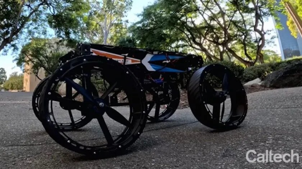 Caltech presenta el 'Morphobot': Un robot transformable