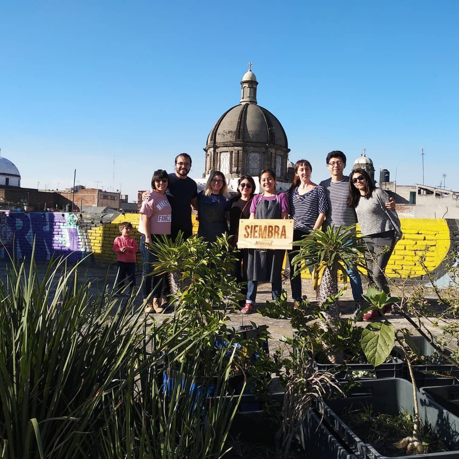Más ciudades apostando por los huertos comunitarios