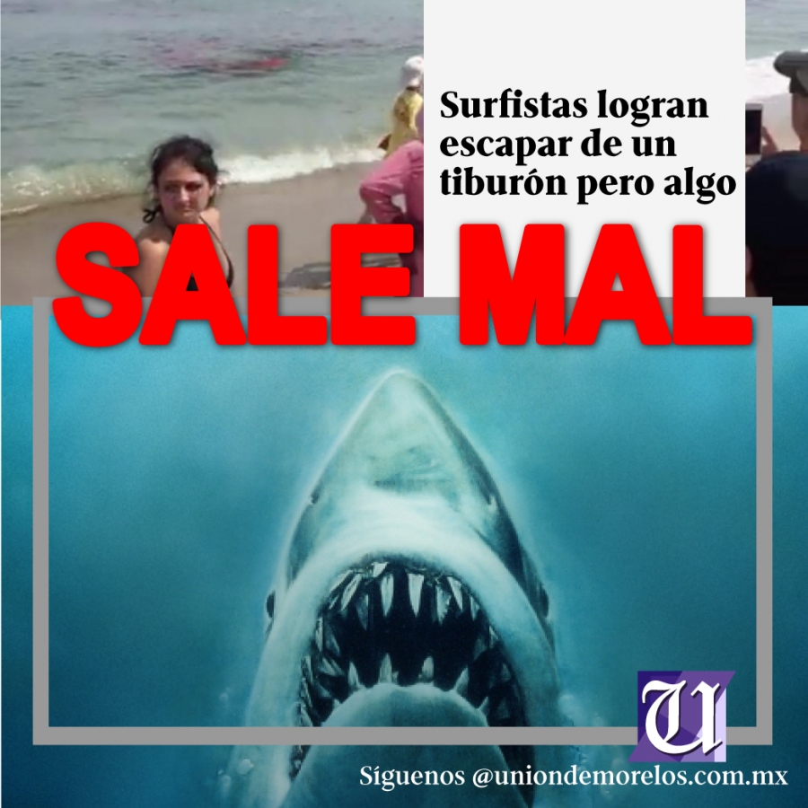 VIDEO: Surfistas logran escapar de un tiburón pero algo sale mal