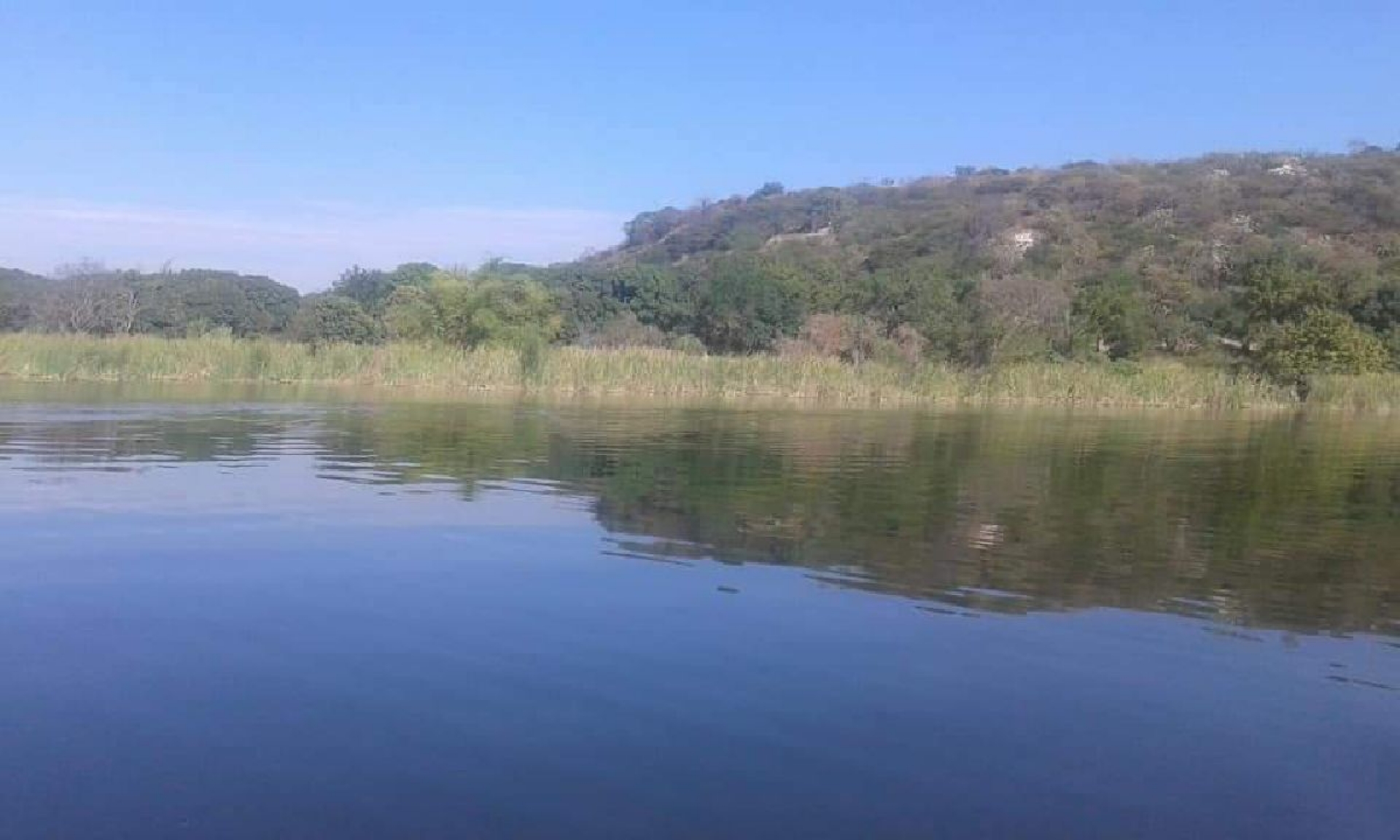Anuncian pescadores primera siembra de crías de tilapia en lagunas de Miacatlán