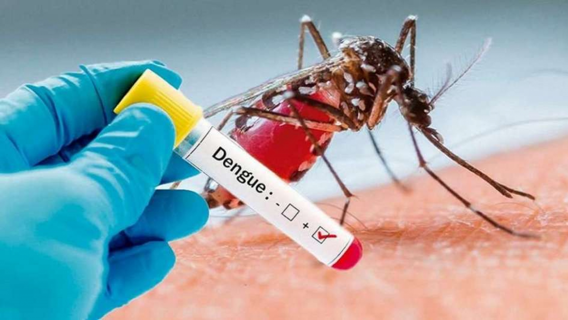 Se registra aumento de casos de dengue en Tilzapotla