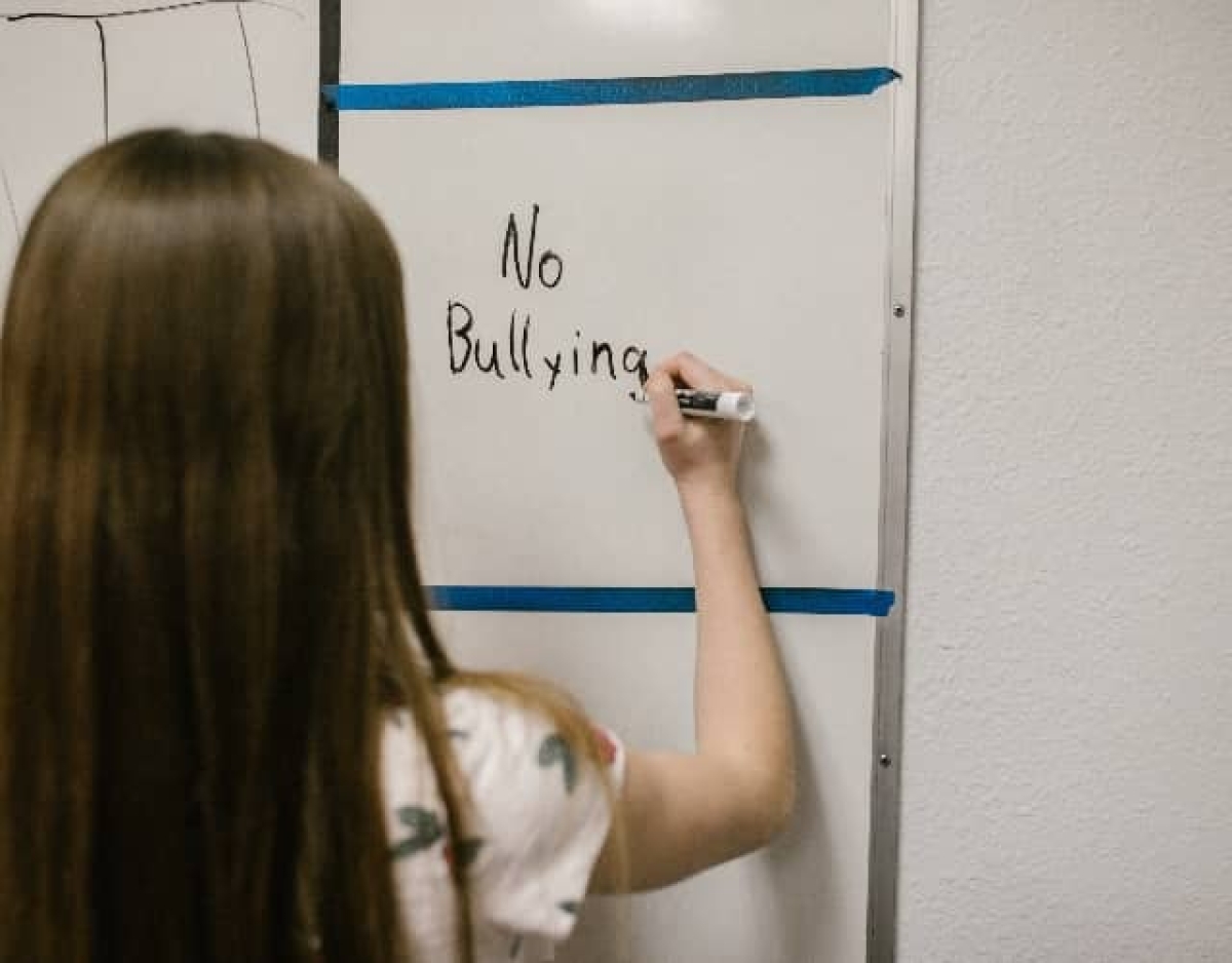 Francia aprueba ley para llevar a la cárcel a quien haga bullying