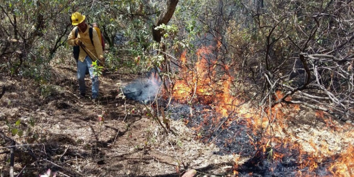 Combaten brigadas incendio forestal al norte de Cuernavaca