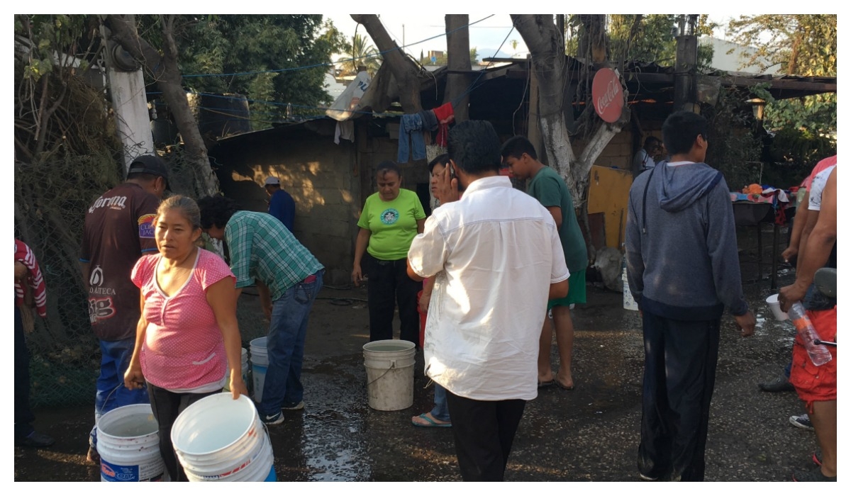 Tres perros y un perico, saldo mortal del incendio de siete casas en Acapatzingo