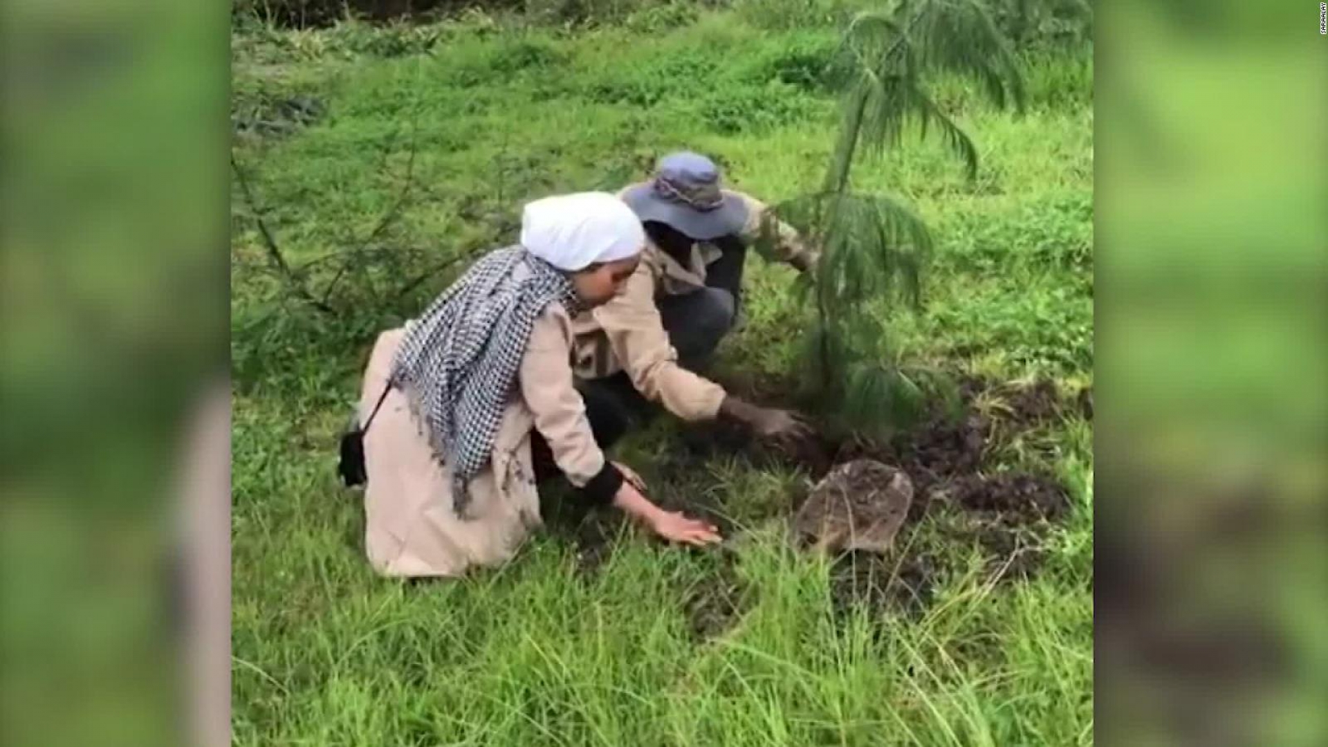 Etiopía planta más de 353 millones de árboles en 12 horas