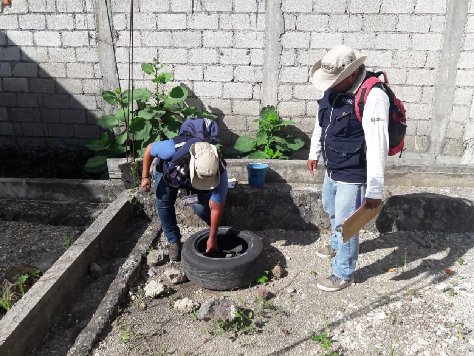 Solicitan no bajar la guardia contra dengue, chikungunya y zika