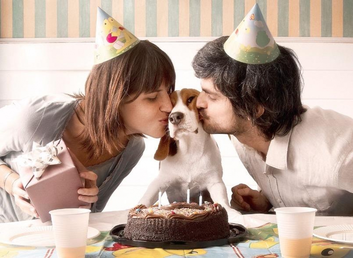 Millenials prefieren mascotas que hijos