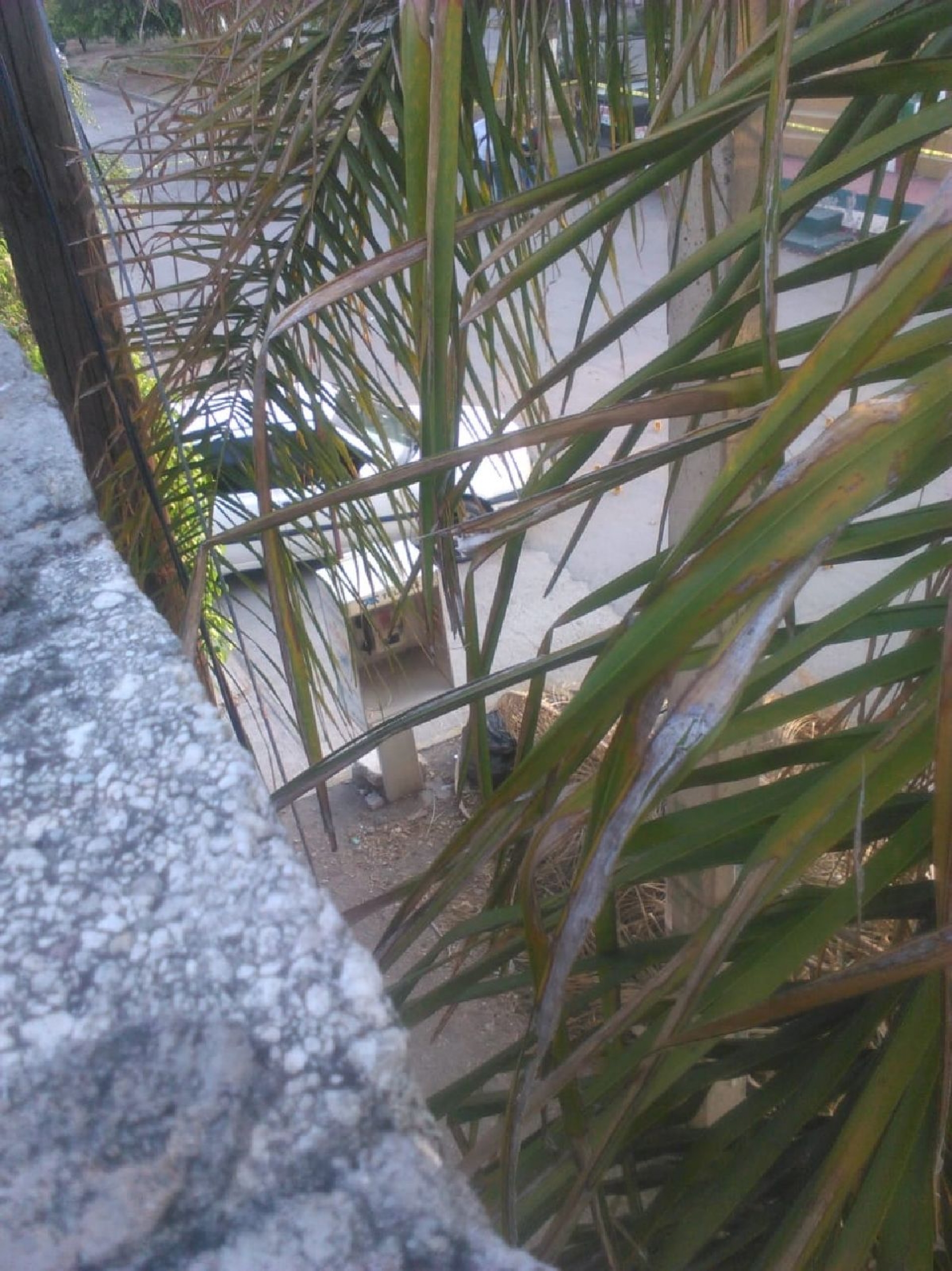 Matan a tiros a un policía en Yautepec