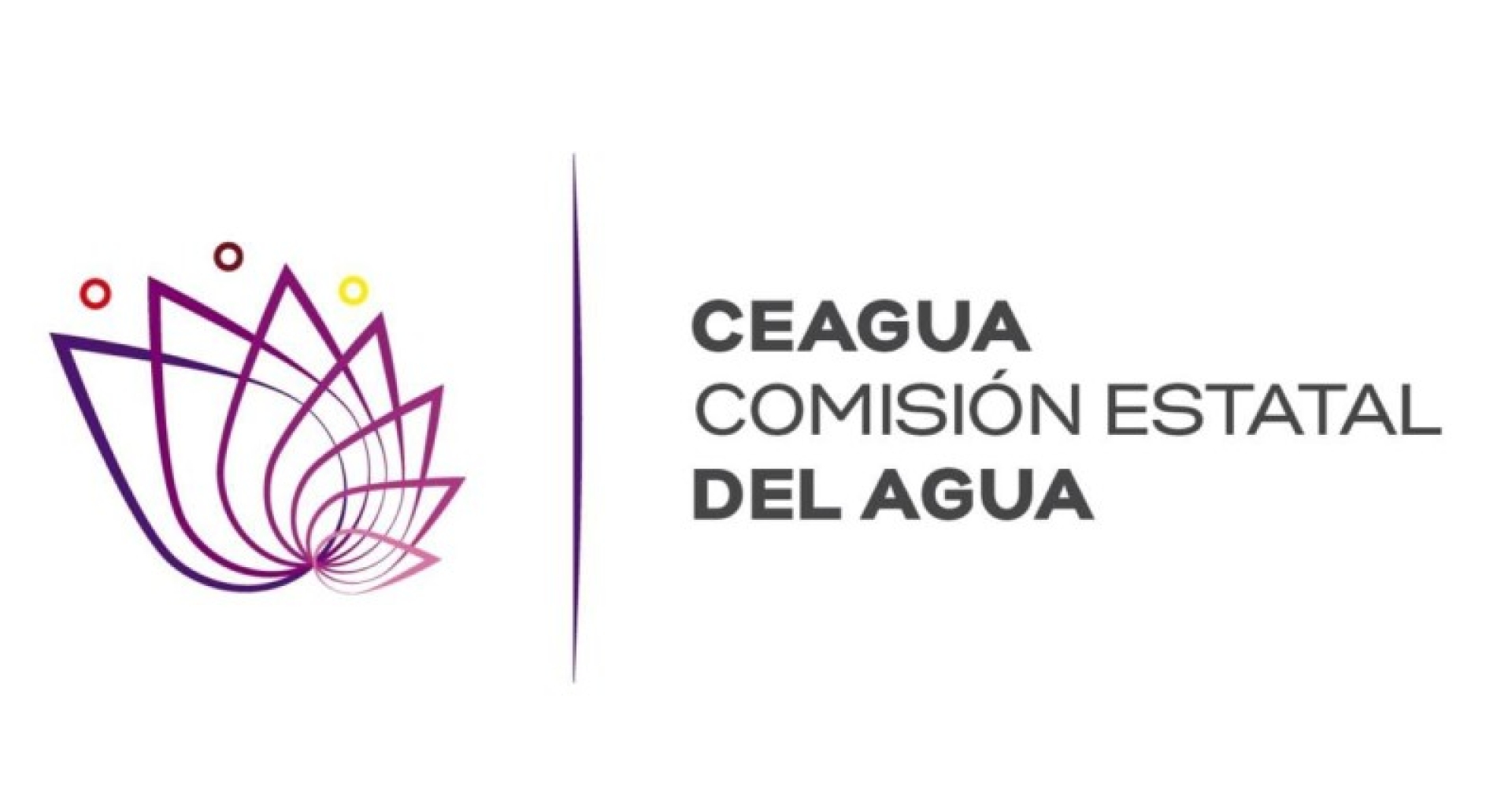 Programa 'Tinacos para almacenamiento de agua 2024' es completamente gratuito: Ceagua
