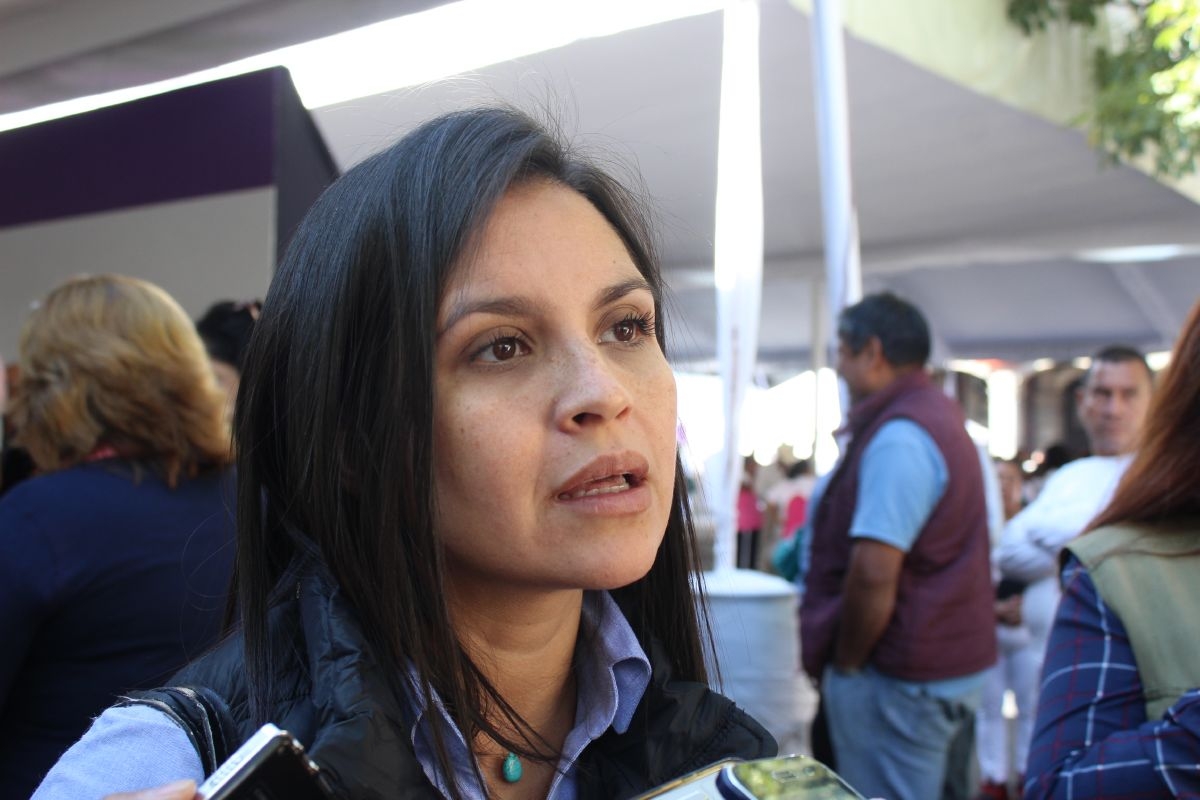 Confirman dos casos de influenza