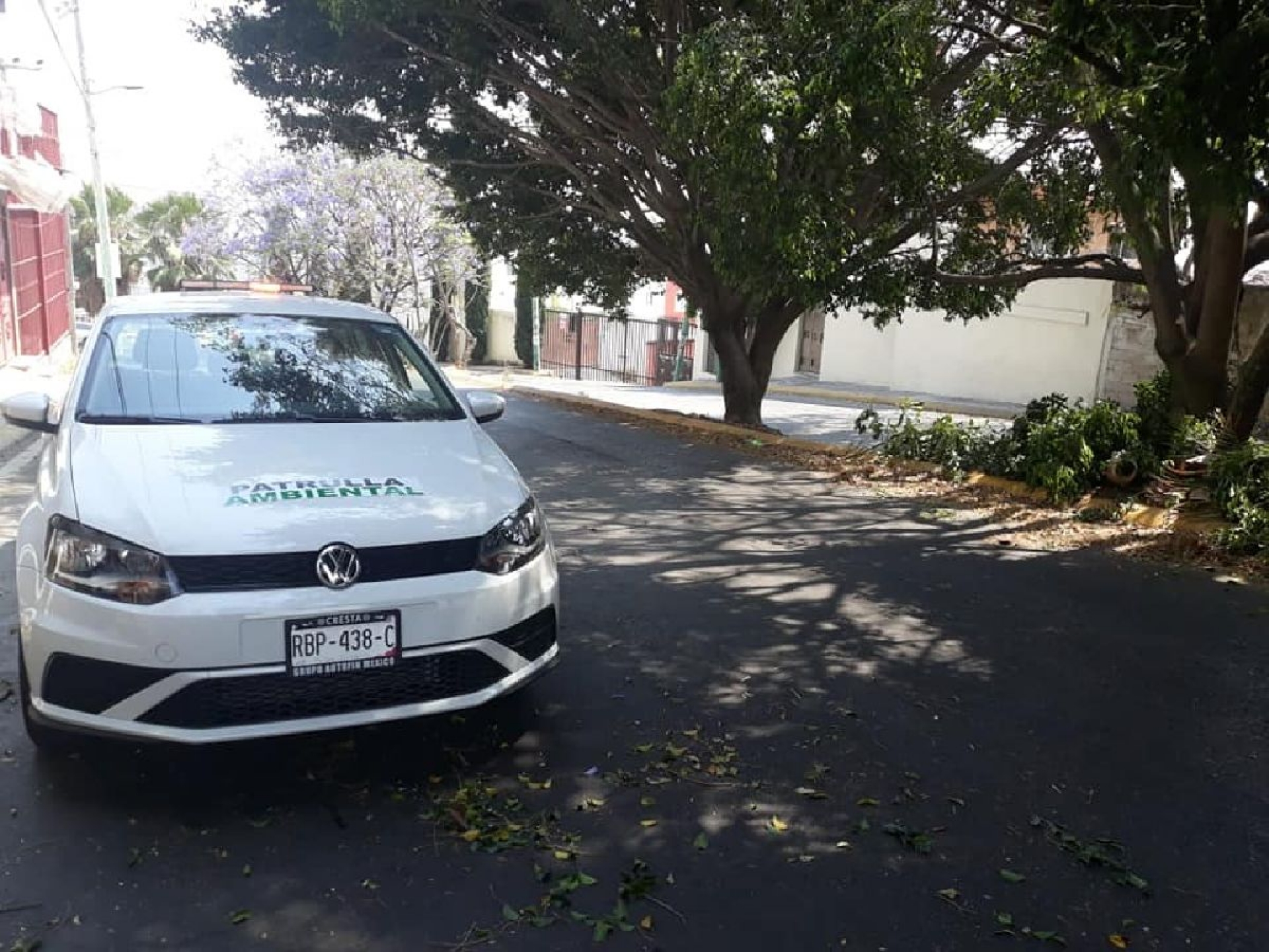 Patrullas ambientales atienden primeras denuncias