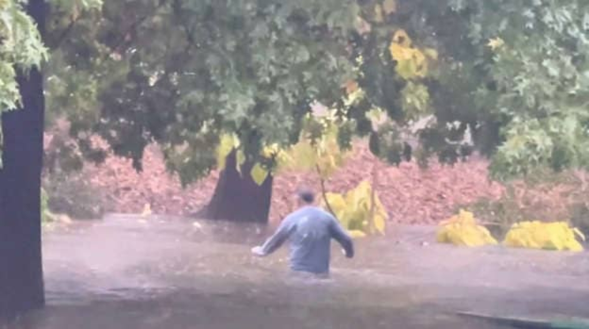 Hombre salva a gatito de morir ahogado en inundación