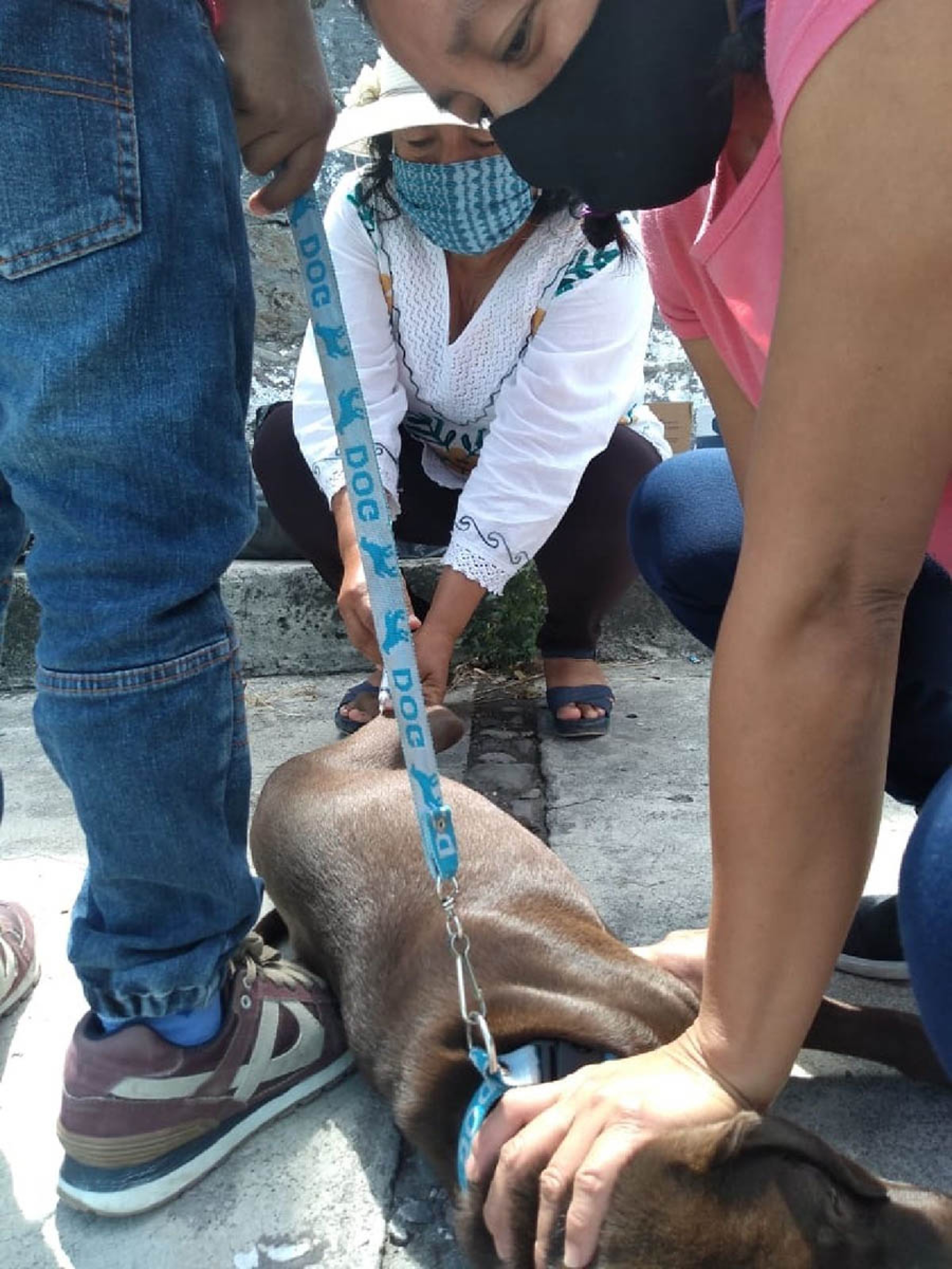 Inicia campaña de vacunación antirrábica en Xoxocotla
