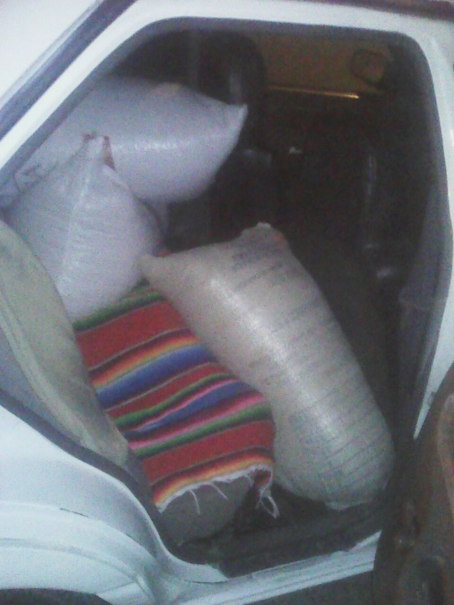 Se metieron a robar a una granja avícola