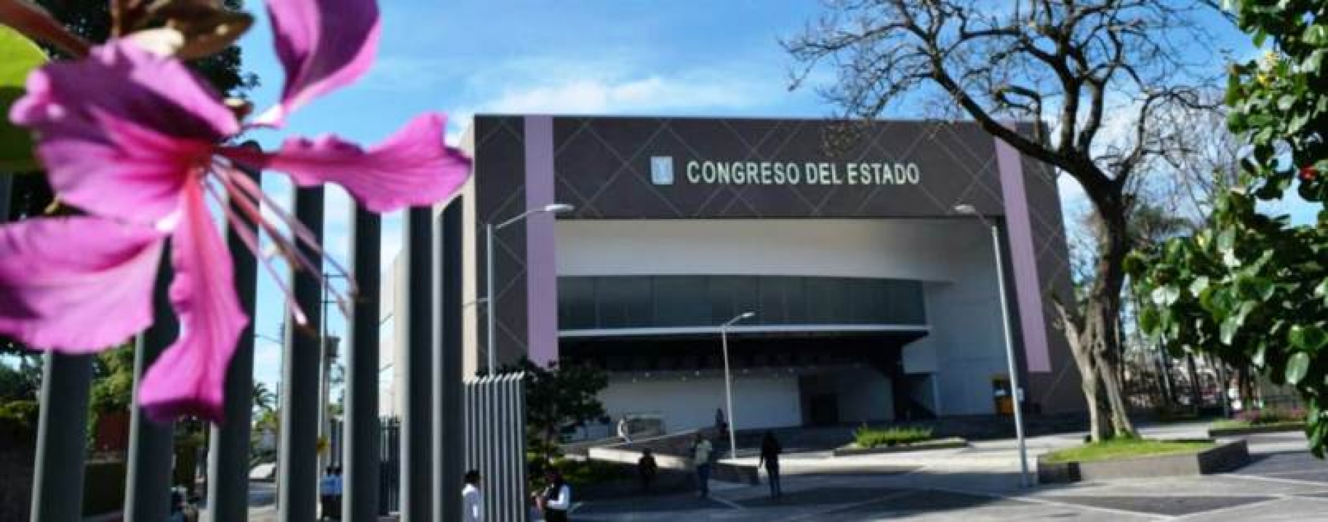 Anular “pensiones doradas”, una deuda del Congreso
