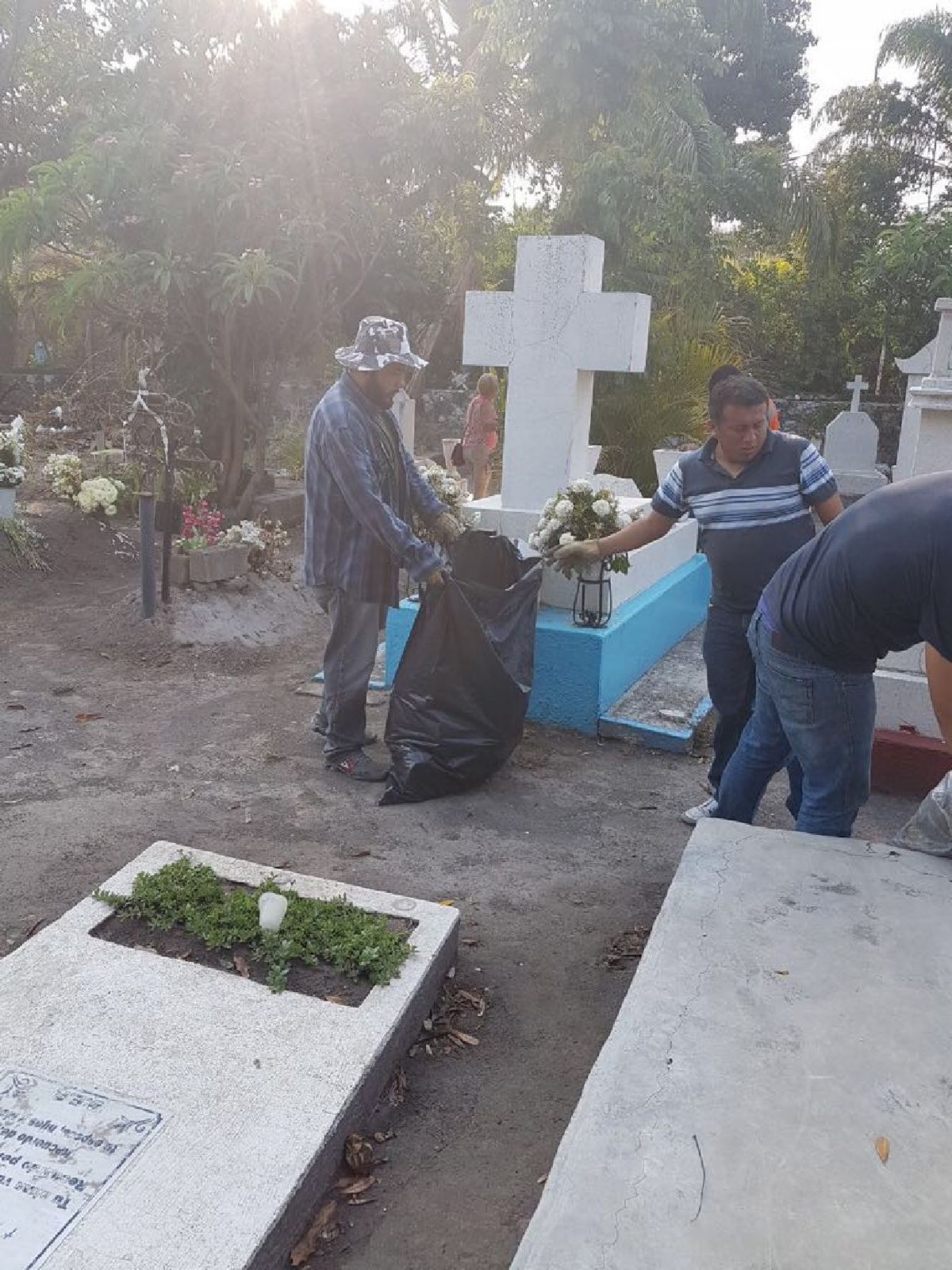 Alertan sobre posible aparición de fiebre amarilla