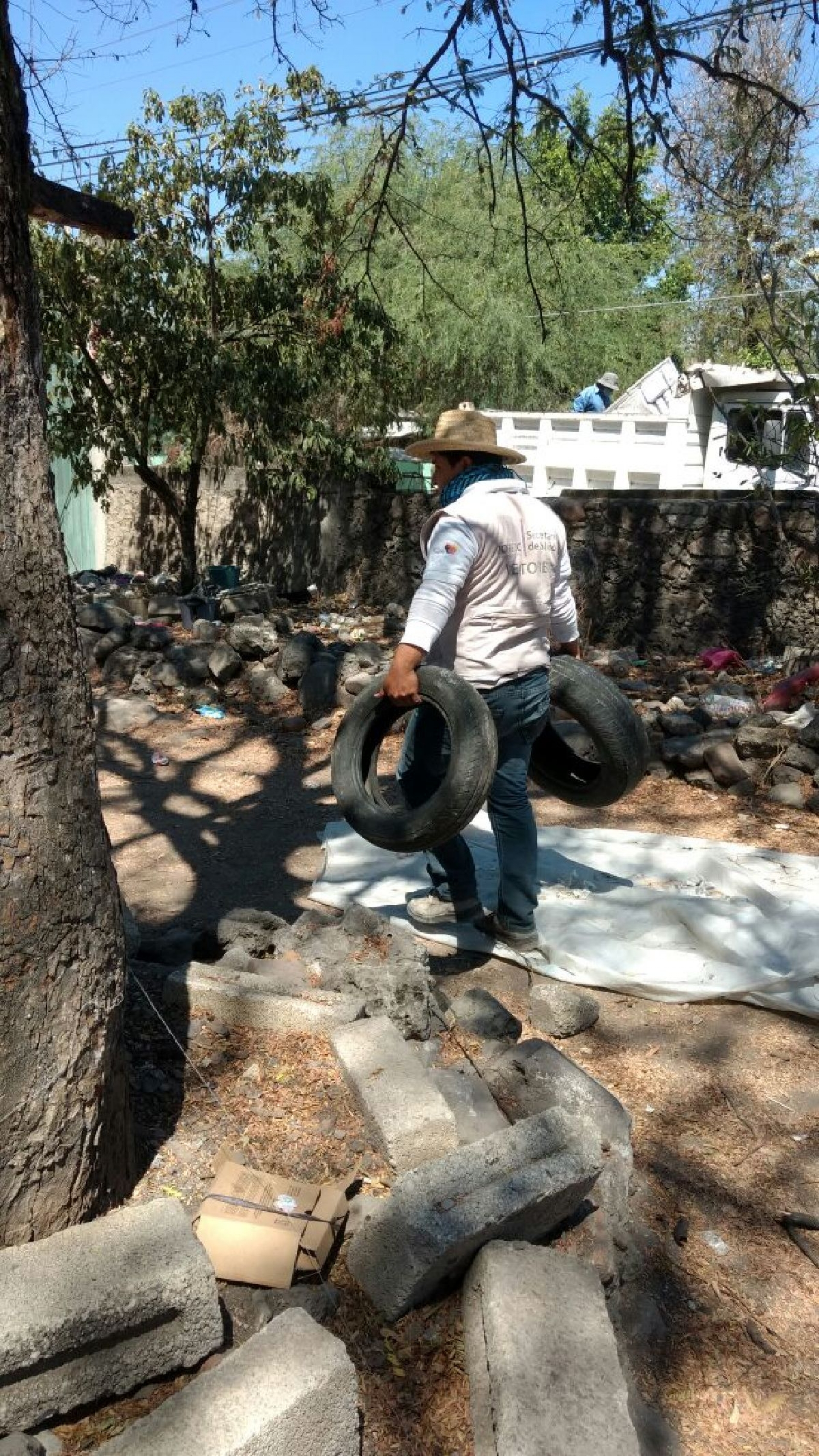 Eliminación de criaderos, clave para prevenir dengue, chikungunya y zika