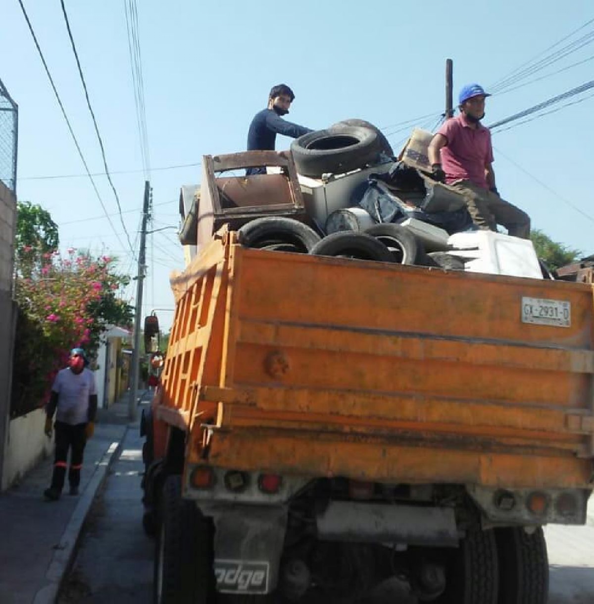 Recolectan hasta tres toneladas de cacharros cada día en Zacatepec