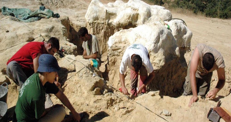 Una nueva especie de dinosaurio que vivió hace unos 100 millones de años es hallada en China