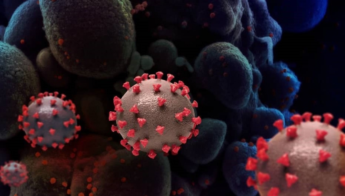 Bélgica descubre nueva variante del coronavirus
