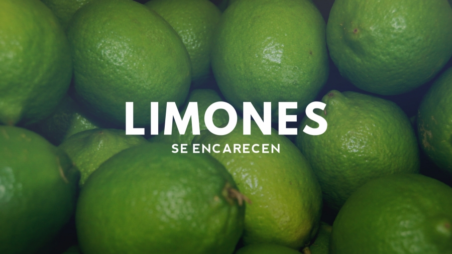Aumenta el precio del kilo de limón: de 10 a 30 pesos; también el del tomate amarillo