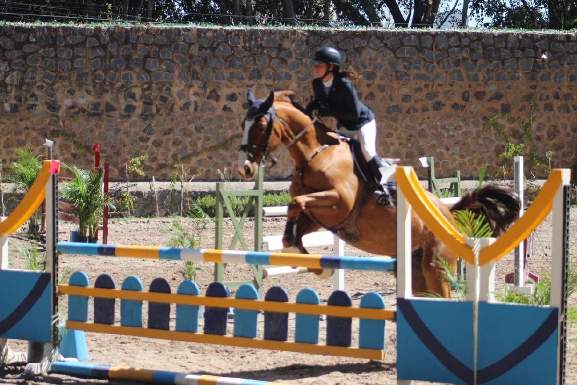 Elena Noriega conquista la primera fecha del Circuito Hípico Vista Hermosa