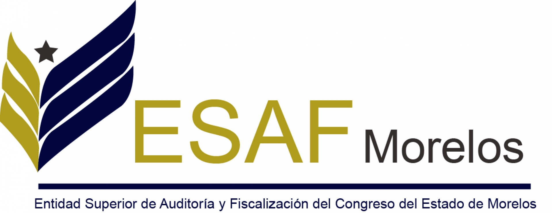 Son 29 los aspirantes a presidir la ESAF
