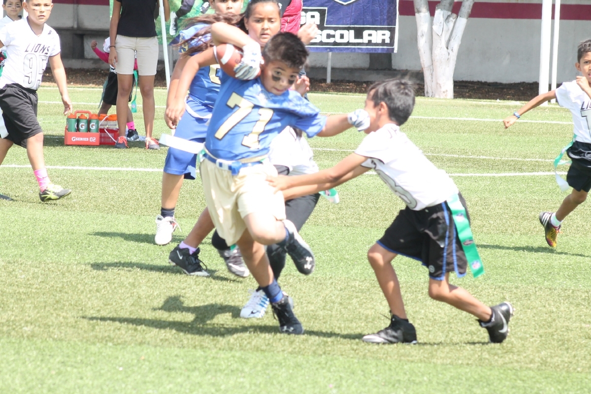 Van Lions y All Star al nacional de Tochito NFL 2016