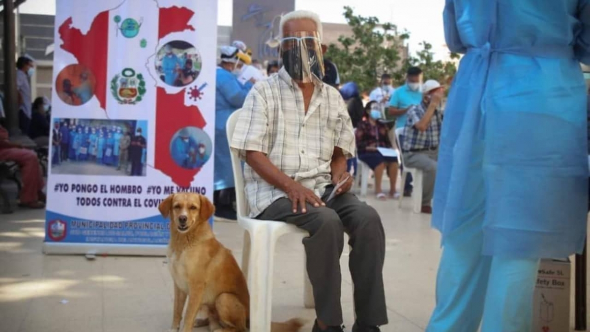 Abuelito llega a vacunarse acompañado por su perro