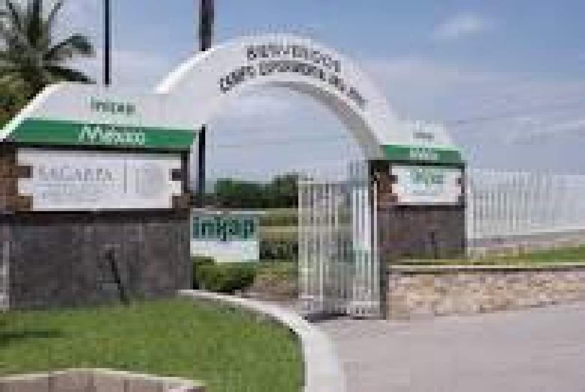 Celebrarán “Día del Productor Agrícola Morelense” este viernes