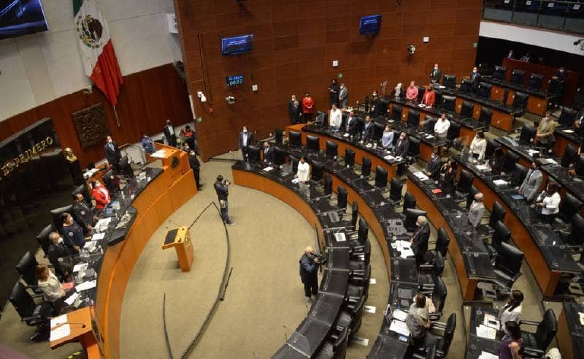Dictamen del Senado: RFC a mayores de edad y prisión a contadores