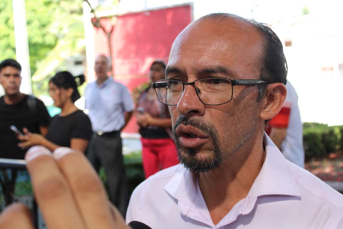 Investigan denuncias por tala ilegal de árboles
