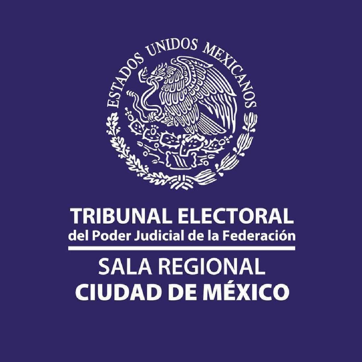 Ratifica TEPJF resolución sobre recursos a partidos