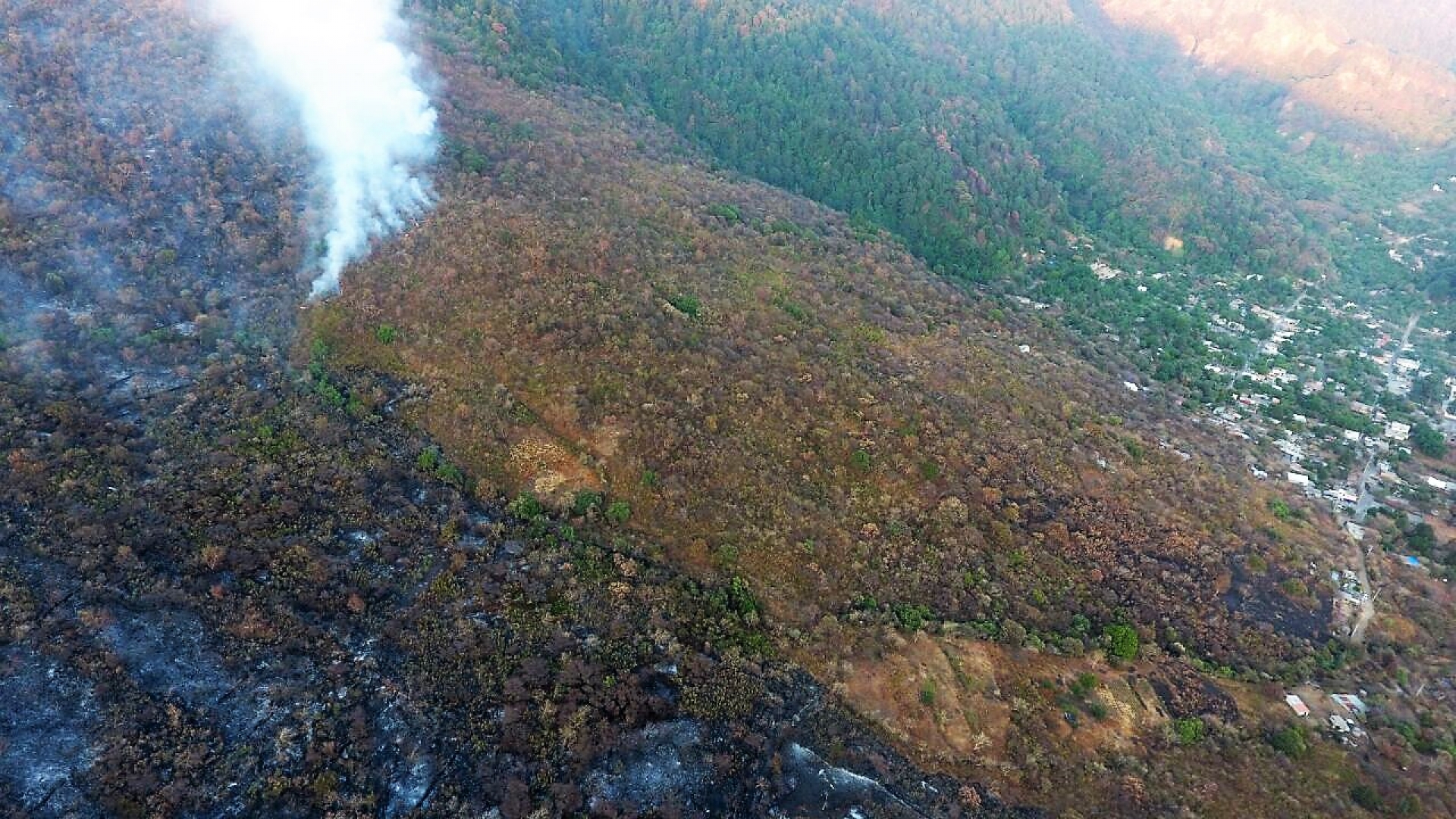 Tlalnepantla y Tepoztlán, los más afectados por incendios