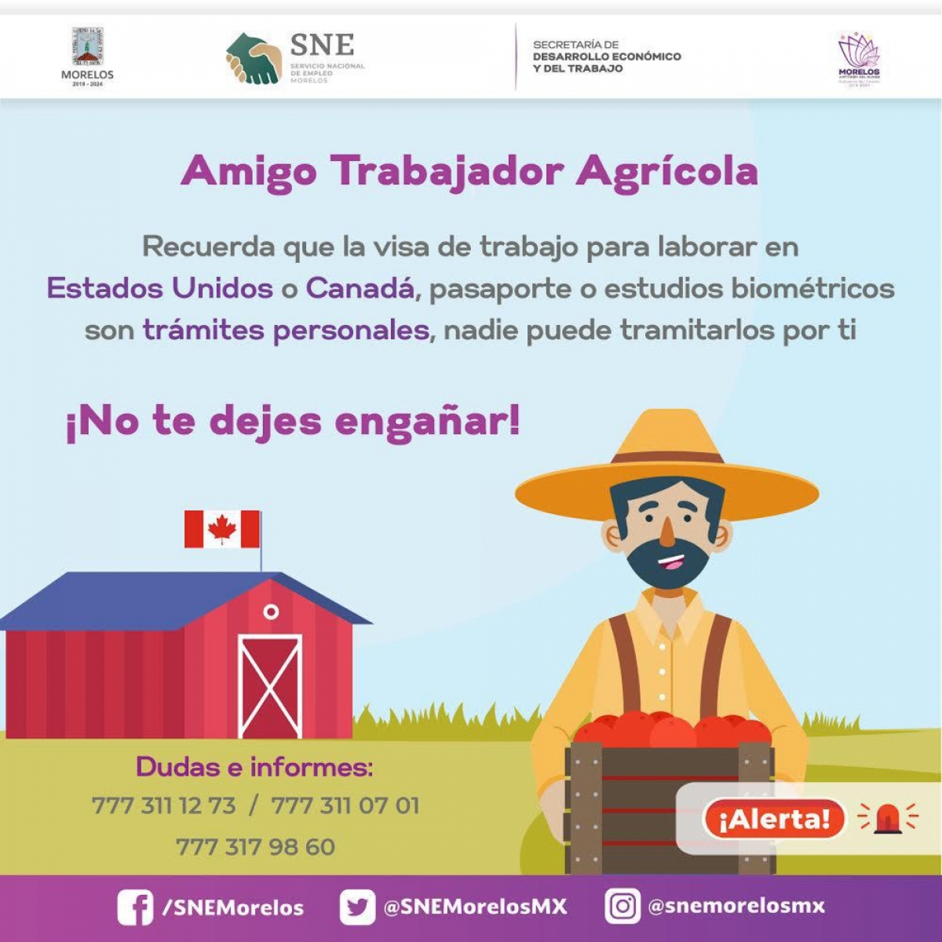 Denuncian fraude con ofertas de empleo