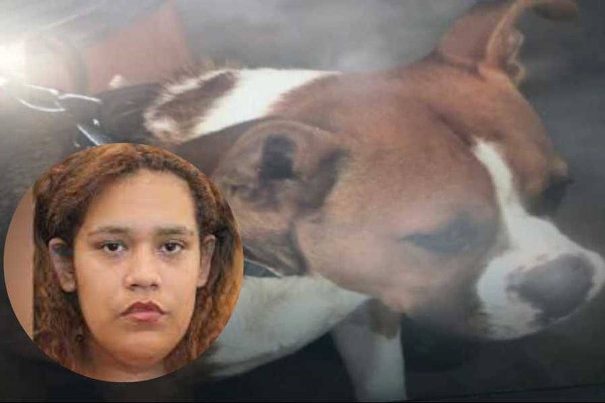 Mujer le dispara a un perro, pero hiere a su hijo por accidente