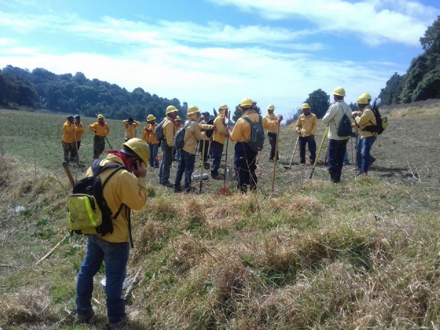 Controlan incendio forestal en zona boscosa de Totolapan