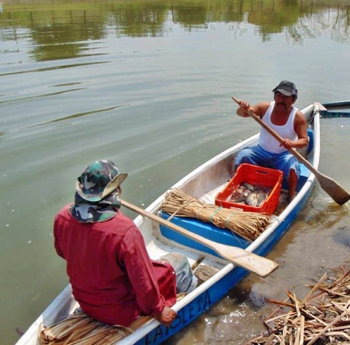 Denuncian contaminación por aguas negras en la  laguna de Coatetelco