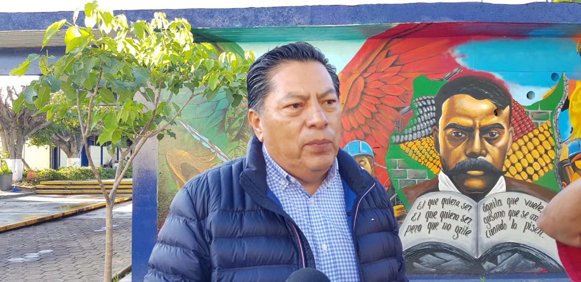 Necesario, endurecer penas contra los talamontes: diputado federal