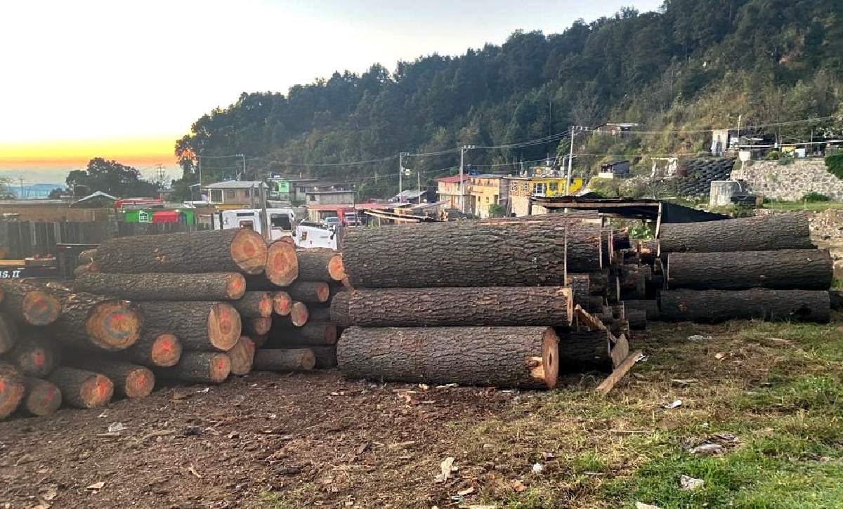 Desmantela la FGR cinco aserraderos en Huitzilac