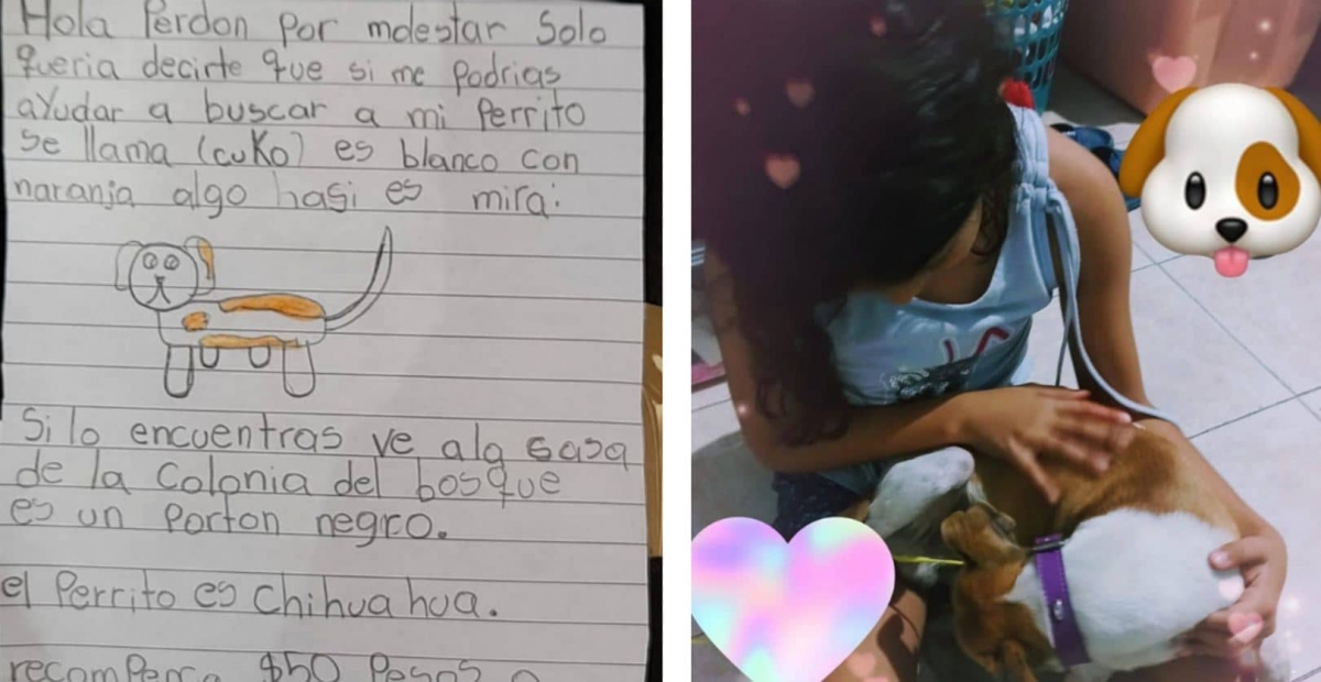Niña buscaba a su perrito con ayuda de un dibujo y el internet la ayudó a encontrarlo