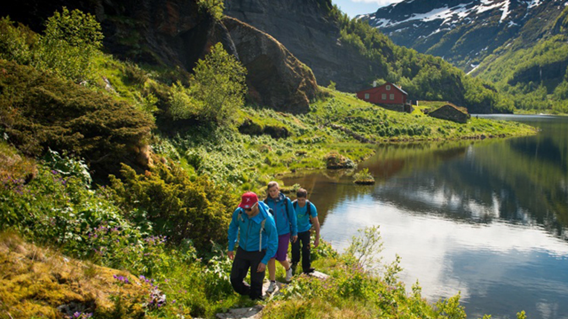 Noruega es el primer país del mundo que prohíbe la deforestación