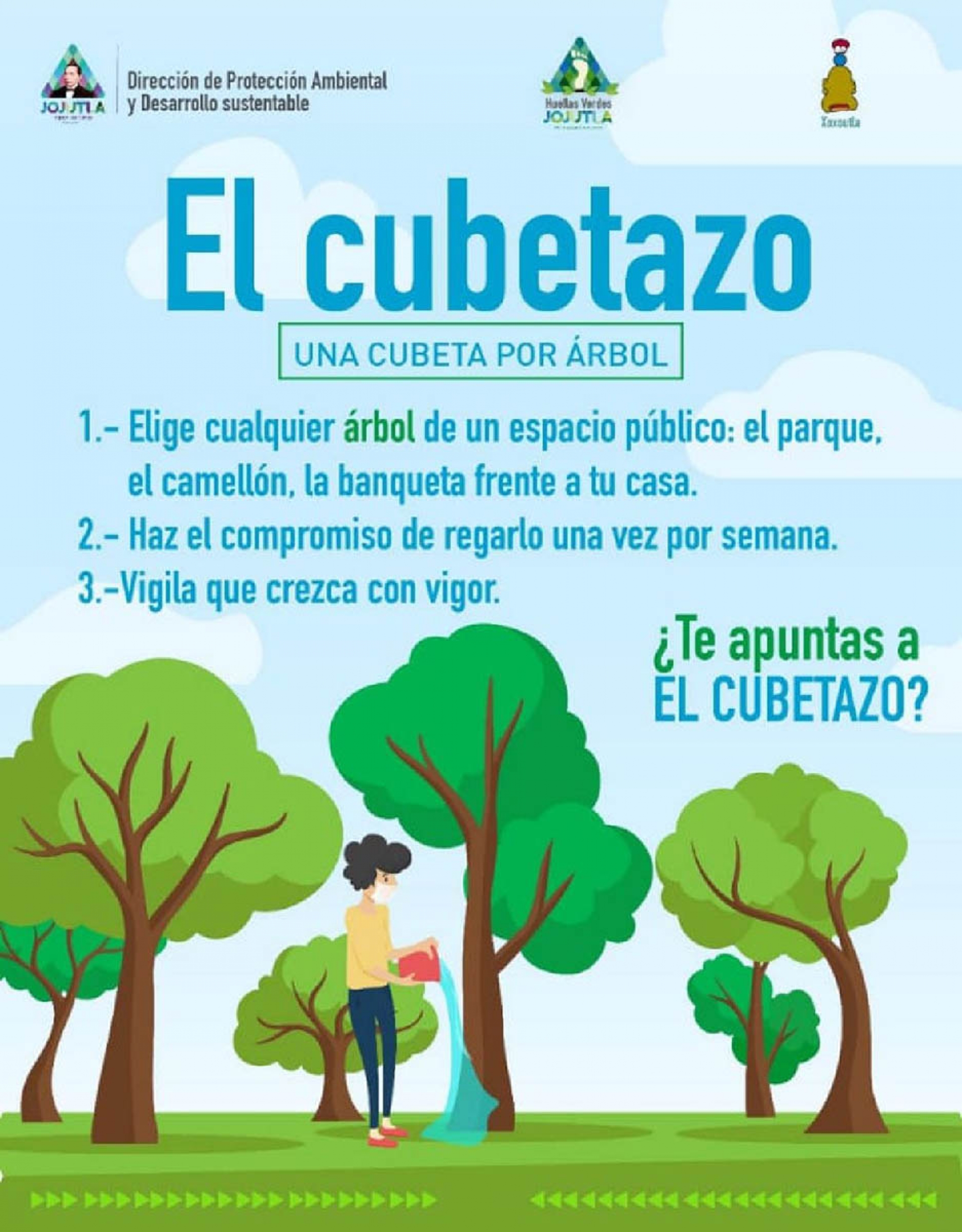 Exhortan a la población a regar y cuidar árboles de espacios públicos