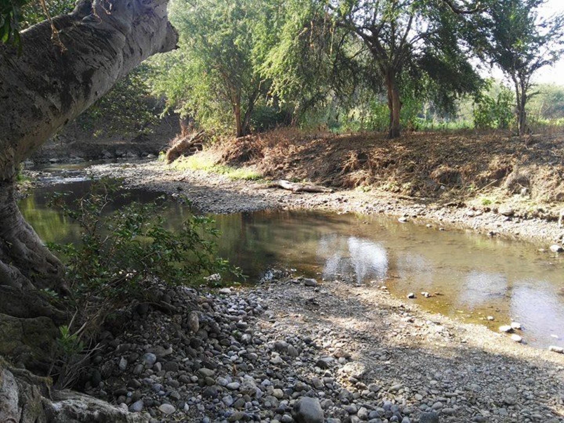 Preocupa a agricultores estiaje del río Chalma