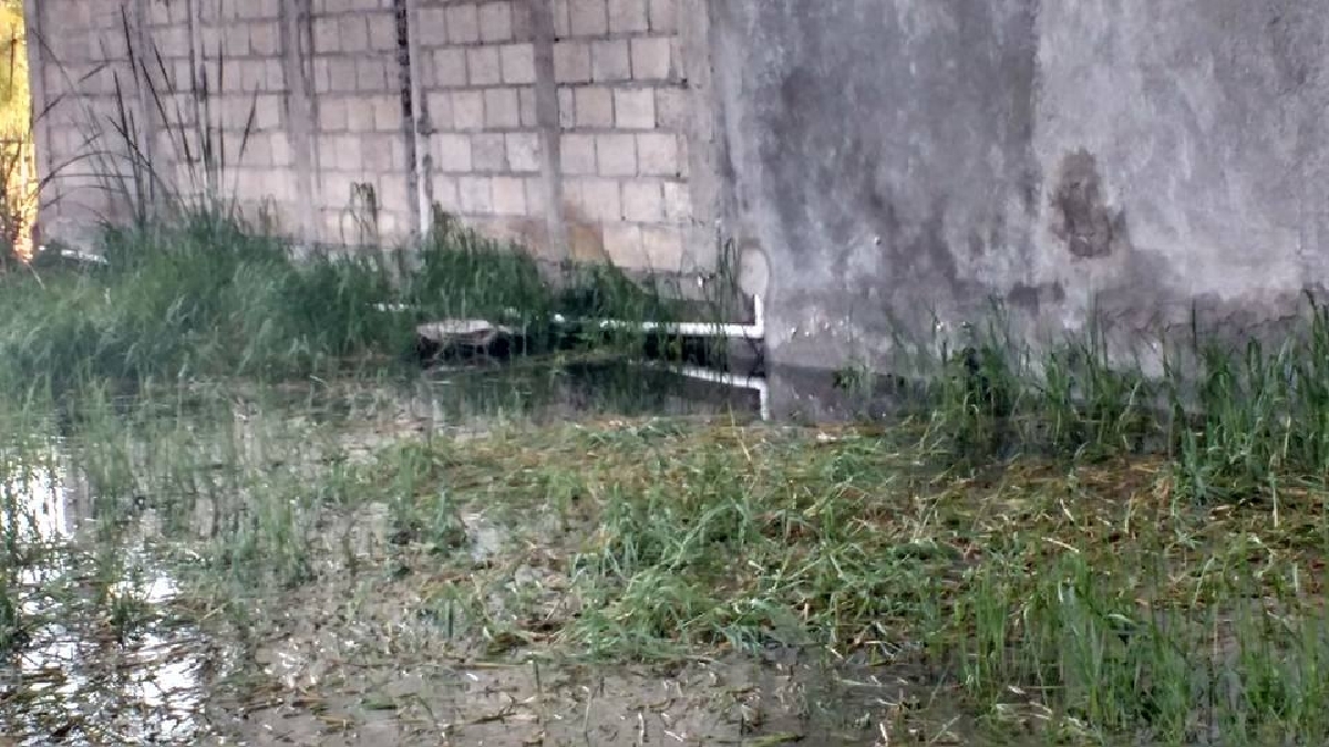Pescadores piden frenar la contaminación en la laguna de Coatetelco