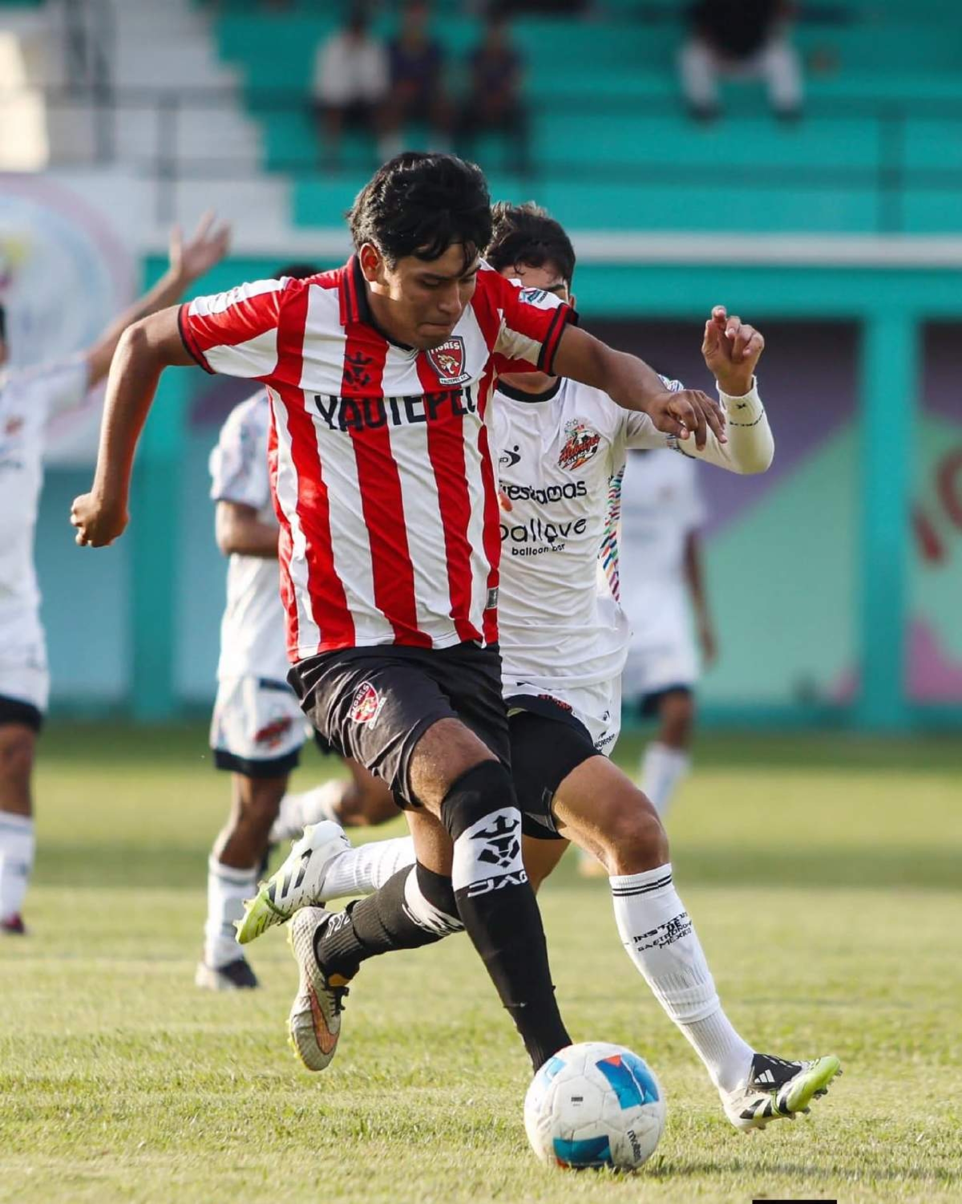 Están en zona de liguilla